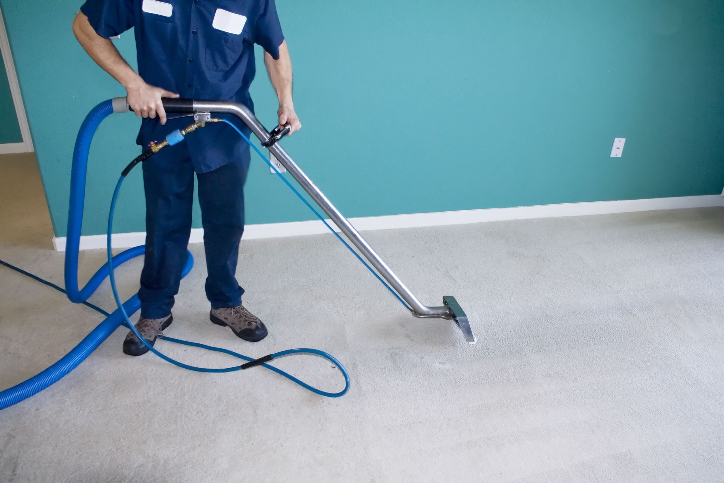 Carpet Cleaners Okemos  Choosing A Company For Your Carpet Cleaning Concerns