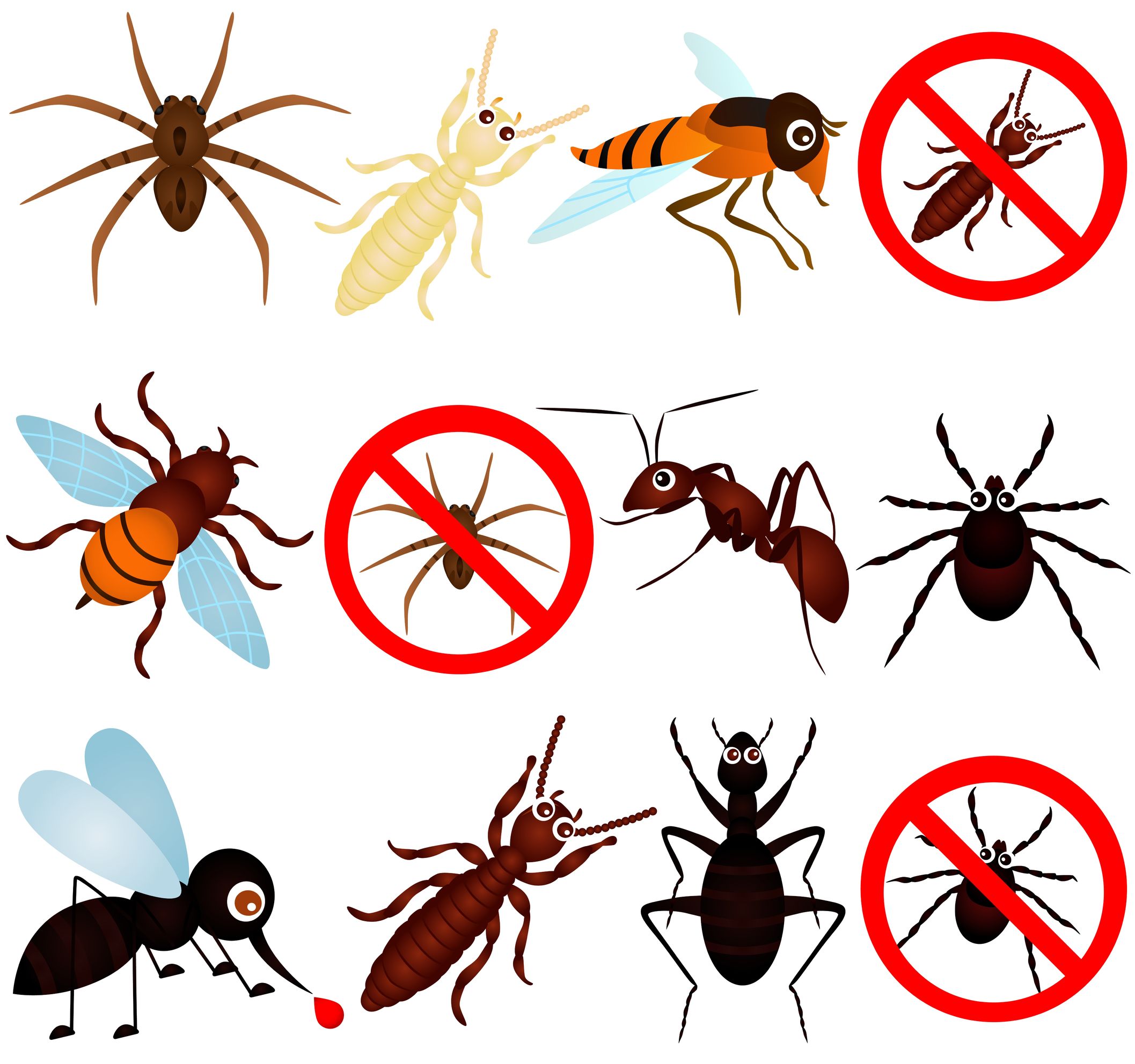The Importance of Dependable Pest Control in Klamath Falls