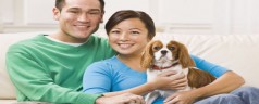 When And How Often Should Your Pet See A Veterinarian In Chicago