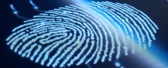 The Importance of Live Scan Fingerprinting