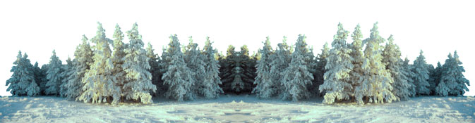 3 Top Etiquette Tips for Encountering Snow Grooming Equipment