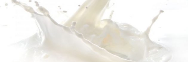Minnesota Dairy Products Suppliers