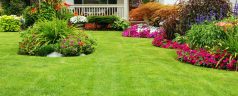 How to Perform Simple Landscaping in Somerville