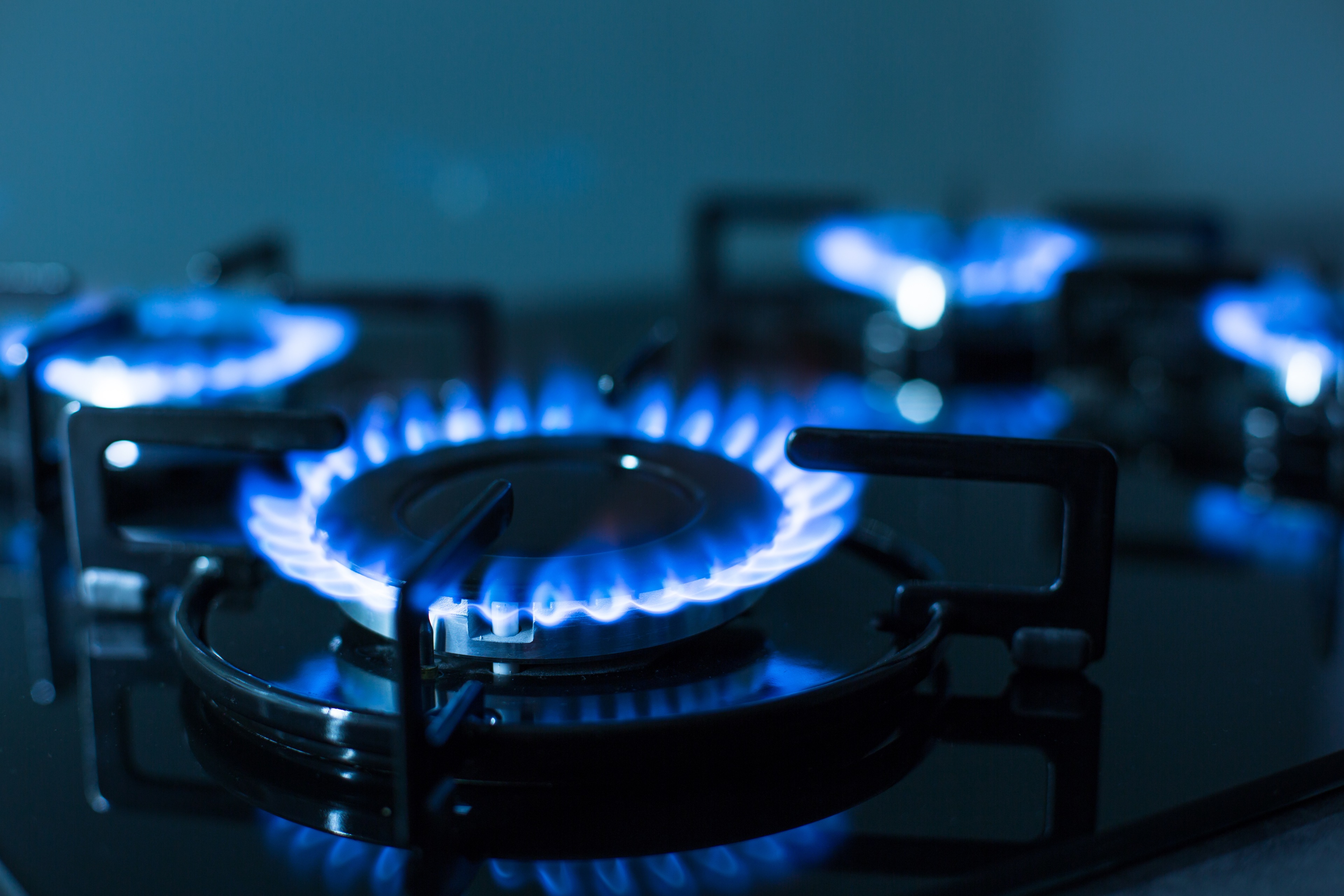 The Advantages of Using Residential Propane in Garden City, Utah