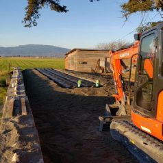 How To Care For A Septic System In Oak Harbor WA