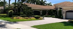 The Benefits of Tree Trimming in Miami FL