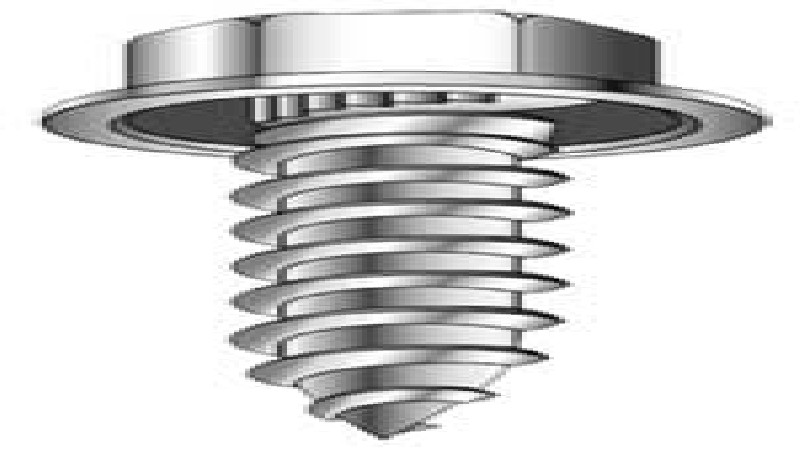 Stainless Steel Thread-Forming Screws Should Be in Any Toolbox