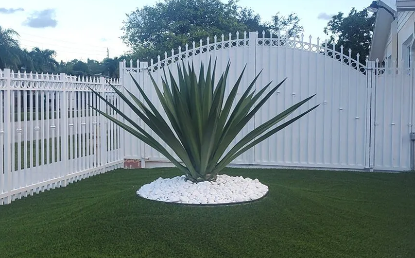 3 Reasons Why You Should Use an Affordable Fence Company in Miami, FL