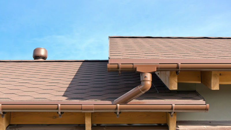 Gutters, Roofs, and Mold: 4 Tips for Maintaining Your Home in Texas