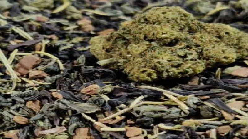 Buying Organic Cannabis Tea