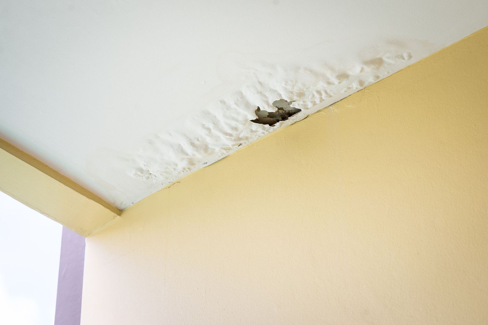 The Benefits of Restoration After Water Damage in McKinney, TX