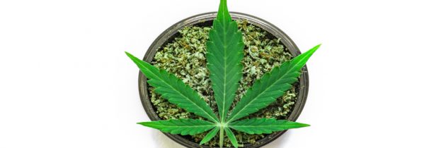 Learn How to Choose the Right CBD products in Dallas