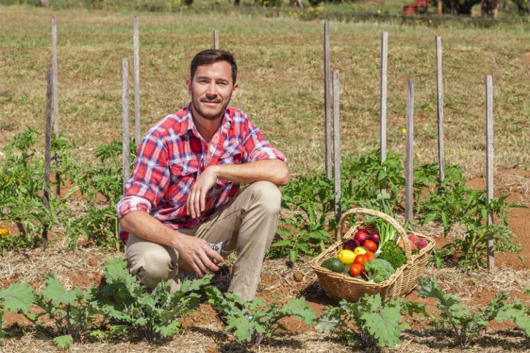 How to Ensure Food Safety and Quality with Traceability Solutions