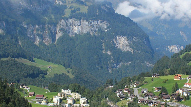 Enhance Your New Port Richey, FL Home’s Curb Appeal with Tree Trimming