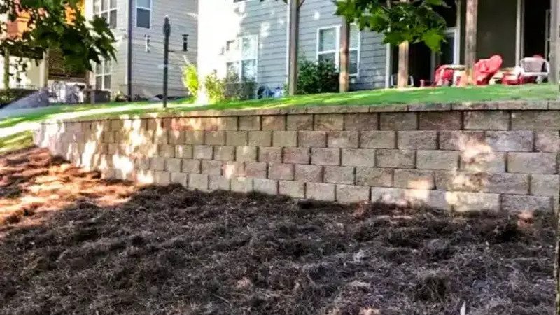 Help with Landscaping Trees in Senoia, GA