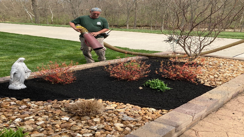 The Benefits of Using Organic Lawn Fertilizer