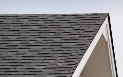 Protecting Your Paradise: The Essential Role of Local Roofer Contractors in Peachtree City, GA