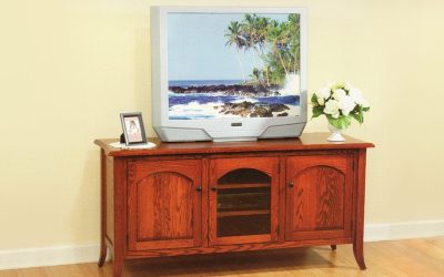 What All Entertainment Centers in Kalamazoo Should Have