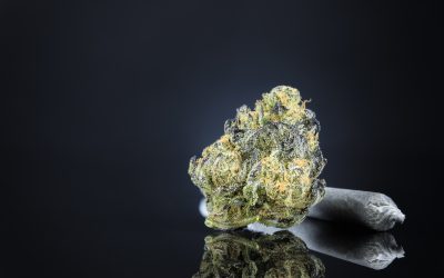 Finding the Best Dispensary in Long Beach