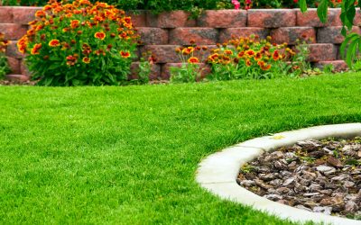 Transform Your Outdoor Living With Hardscaping Fallston, MD Solutions for Lasting Beauty
