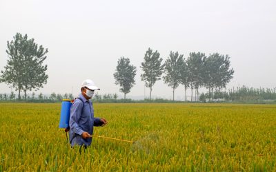 Aquasphere Fertilizers: Mastering Nutrient Management in Agriculture