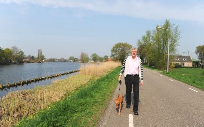 Dog Park Splash Pads in Peachtree, GA – Where Fun and Function Meet for Your Furry Friends