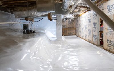 The Benefits of Scheduling Fall Cleanup in Burlington, ON, Before the Cold Hits