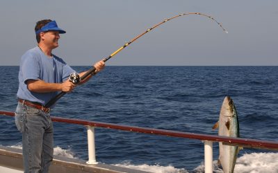 Shark Fishing Pensacola, FL: Tips for Safe Family-Friendly Coastal Excursions