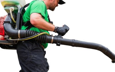 Achieve a Greener Yard with expert lawn treatment services Huntsville AL residents trust for results