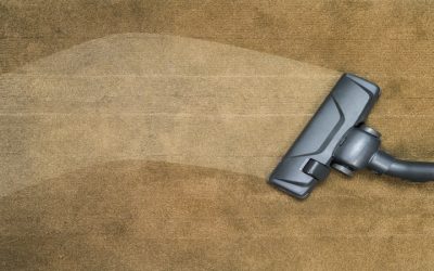 Your Stain Solution Rests With the Best Carpet Cleaners Near Monona, WI