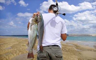 Find Unmatched Tranquility with Fly Fishing the Missouri River, Montana’s Scenic Waters