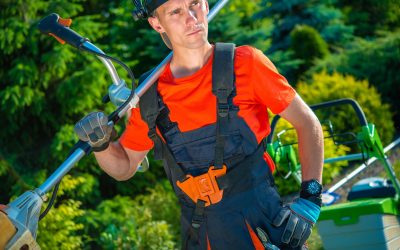 Learn how commercial lawn mowing in Chapel Hill NC simplifies year round landscape maintenance