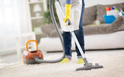 Carpet Cleaning Services Should be on Speed Dial for Pet Owners
