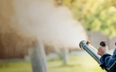 How to Achieve Lasting Results with Flea Control for Lawn Shelbyville, KY Residents Trust