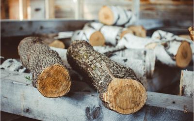 Find seasoned fire wood sales near Freehold NJ for cozy home heating this winter