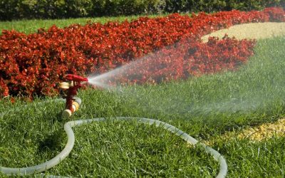 Keep Your Lawn Thriving with Reliable Irrigation System Repair In Colorado Springs Services