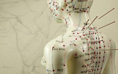 Boost Your Family Planning Journey Using Acupuncture For Fertility in Berkeley, CA Solutions