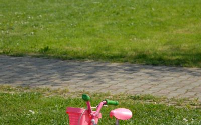 Enhance Client Impressions with Commercial Grounds Maintenance Bergen County, NJ Solutions