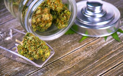 Smooth Relaxation Awaits When You Choose THCA Pre Rolls For Sale Online in the USA