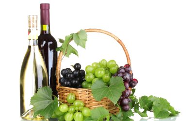 Looking for Unique Gifts Find Stylish Wine Bags New London CT Locals Love