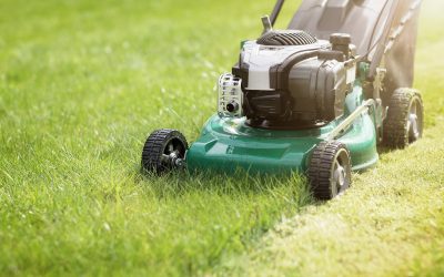 Achieve Lush Green Lawns with Fertilization Services Land O Lakes FL Experts Recommend