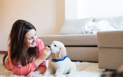 Make moving easy with pet friendly apartments for rent Dayton OH families can trust