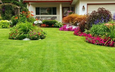 The Science Behind RTF Grass Seed and Why Homeowners Prefer It