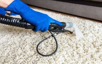 Key Questions to Ask Before Professional Mold Testing Near Edgerton, WI